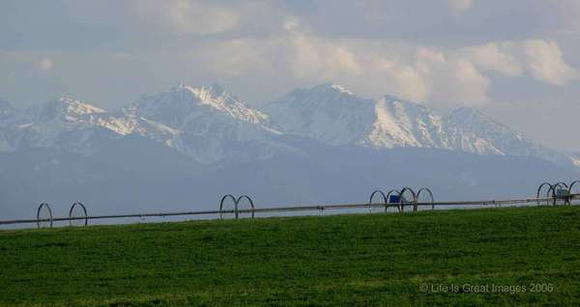 Gallatin_Valley_Montana  Irrigation Line _May_2006_cr_small