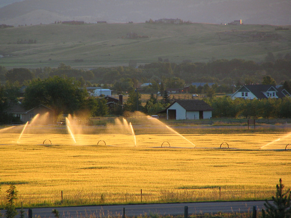Sunrise Irrigation  Rural Bozeman
